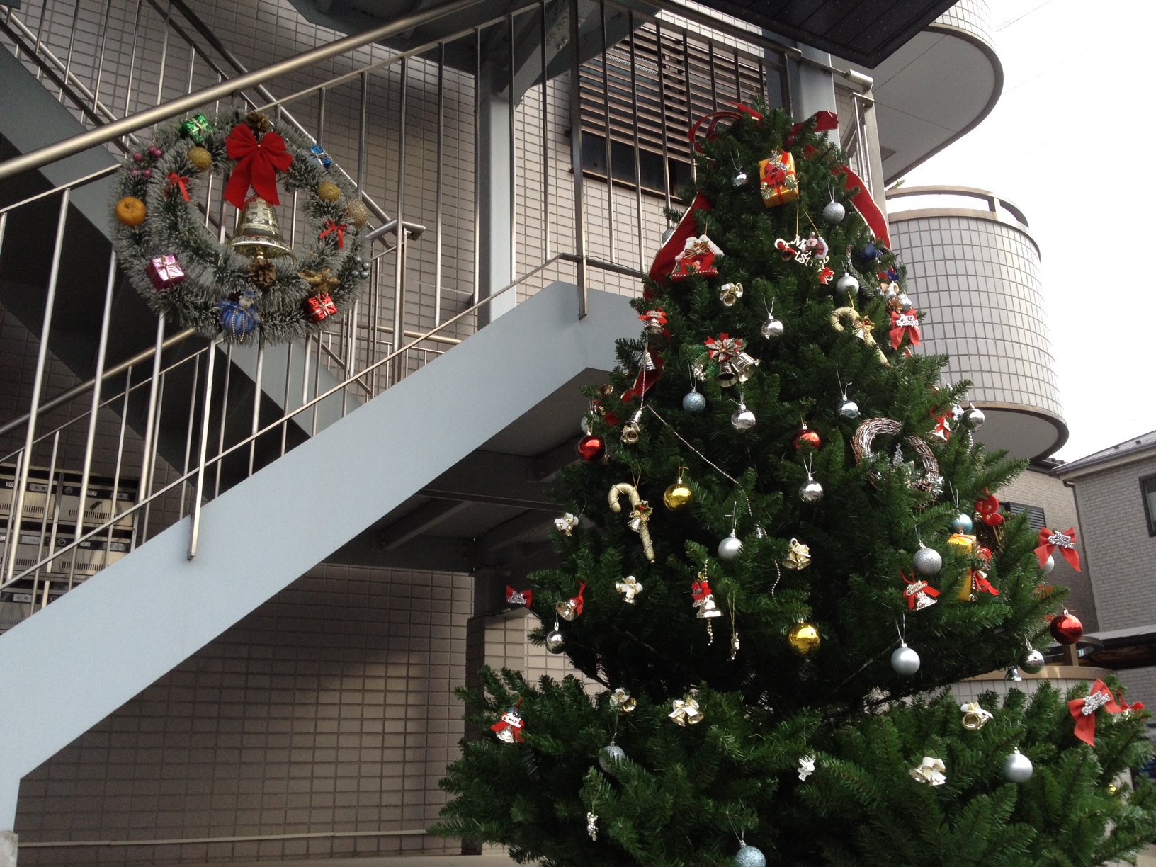 長堀マンションのクリスマスツリー 長堀マンションのクリスマスツリー