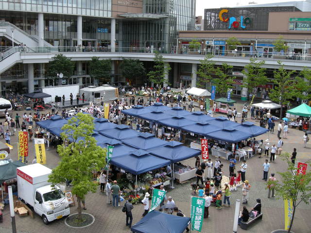 川口キュポ・ラ市場写真
