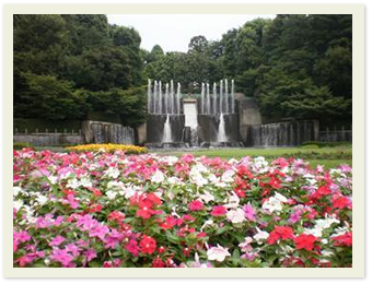 川口市立グリーンセンター1 川口市立グリーンセンター1