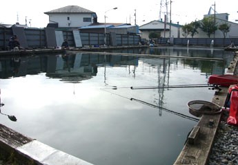八光園 鳩ヶ谷駅徒歩9分 川口市里の賃貸 長堀マンション